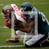 Tampa Bay Buccaneers wide receiver VINCENT JACKSON receives a 13 yard touchdown pass from quarterback Jameis Winston in the second quarter as Eagles cornerback NOLAN CARROLL attempts to defend. The Buccaneers went on to win 45-17.