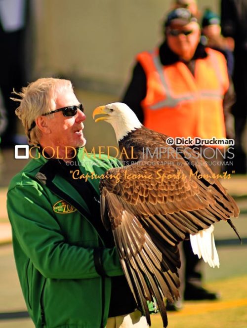 Philadelphia Eagles trainor talks to his eagle mascot prior to the Eagles Titans game at Lincoln Financial Field. The eagles went on to win 43-24.