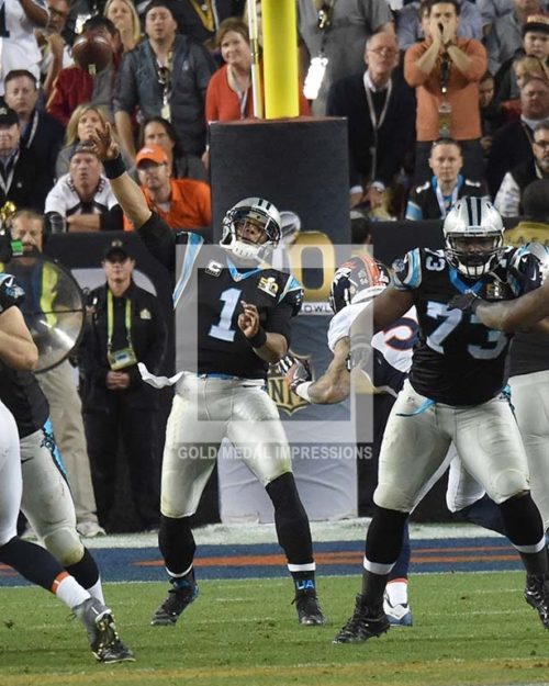 CAM NEWTON COMPLETES PASS TO COREY BROWN