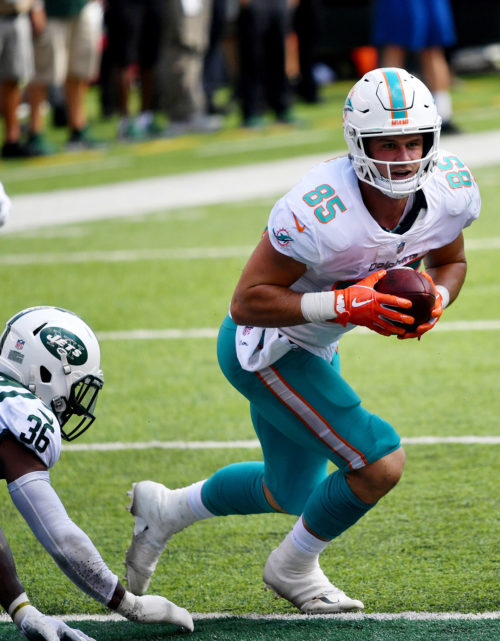 Miami Dolphins tight end A.J. Derby receives a 19 yard pass
